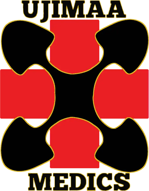 Ujimma Medics logo