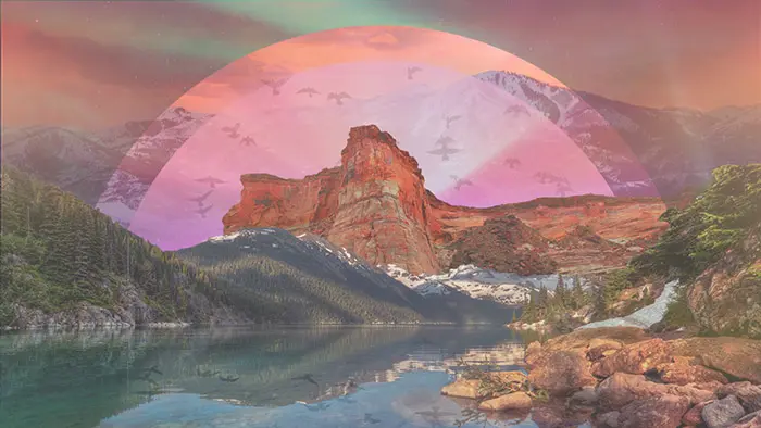 Spotlight Bioneers(1)