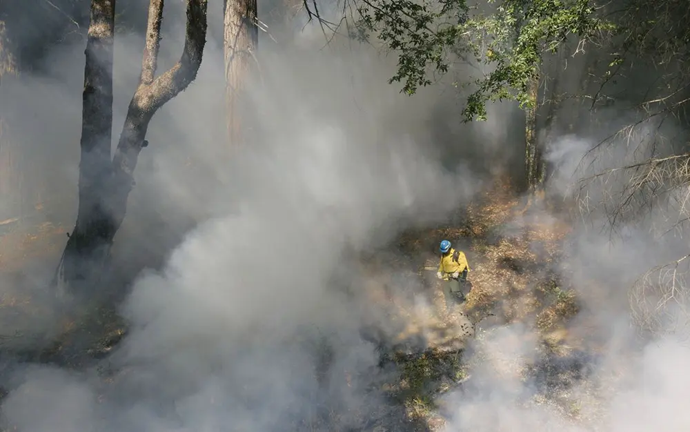 Fire fighter in the middle of a controlled burn