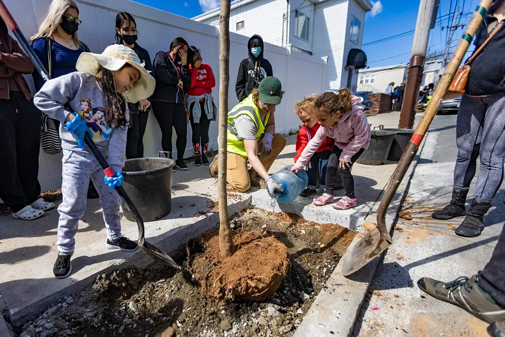 GreenRoots members planting trees
