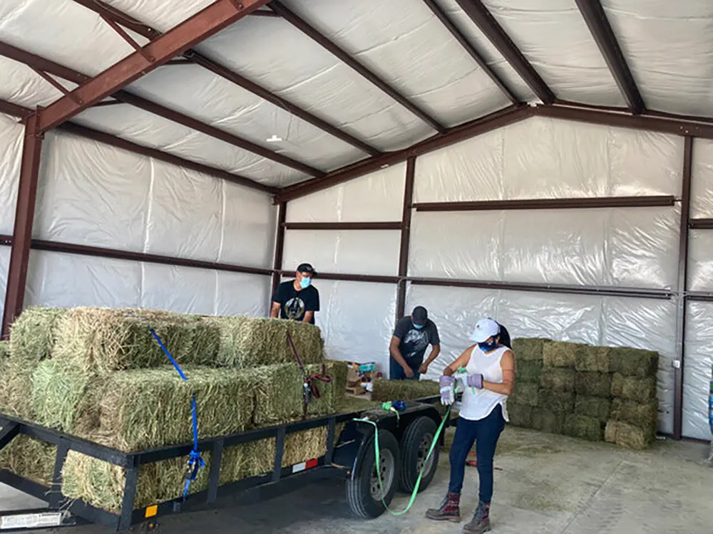 Nihi K’é Baa’ Mutual Aid members with bales of hay