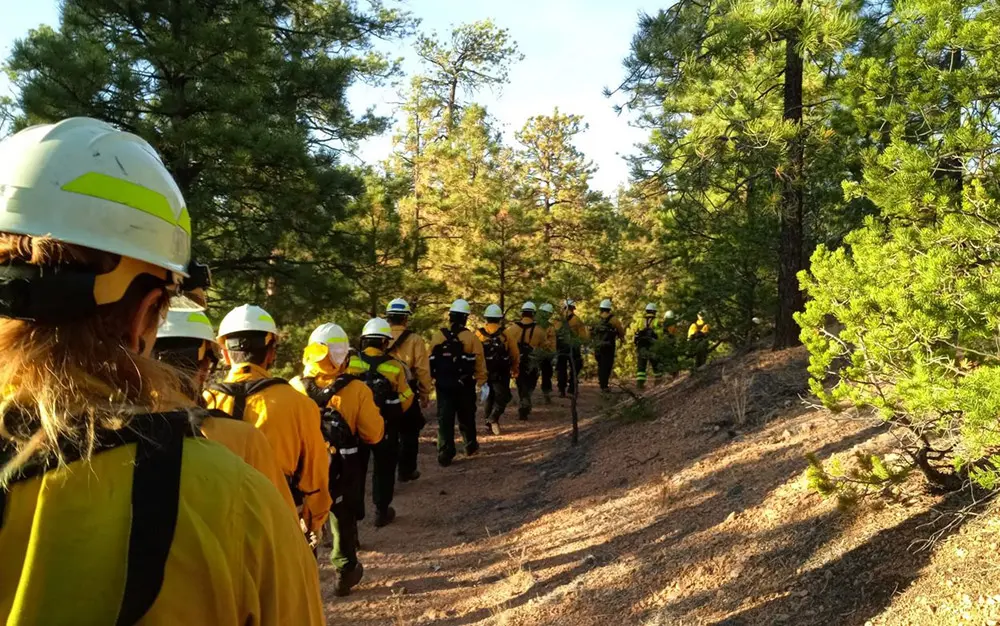 TREX fire fighter members walking along trail in forest